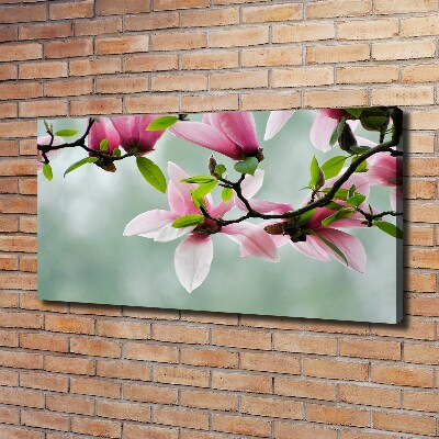 Foto obraz canvas Magnolia