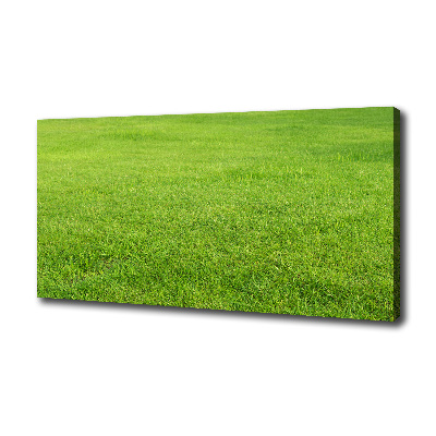 Foto obraz na płótnie Zielona trawa