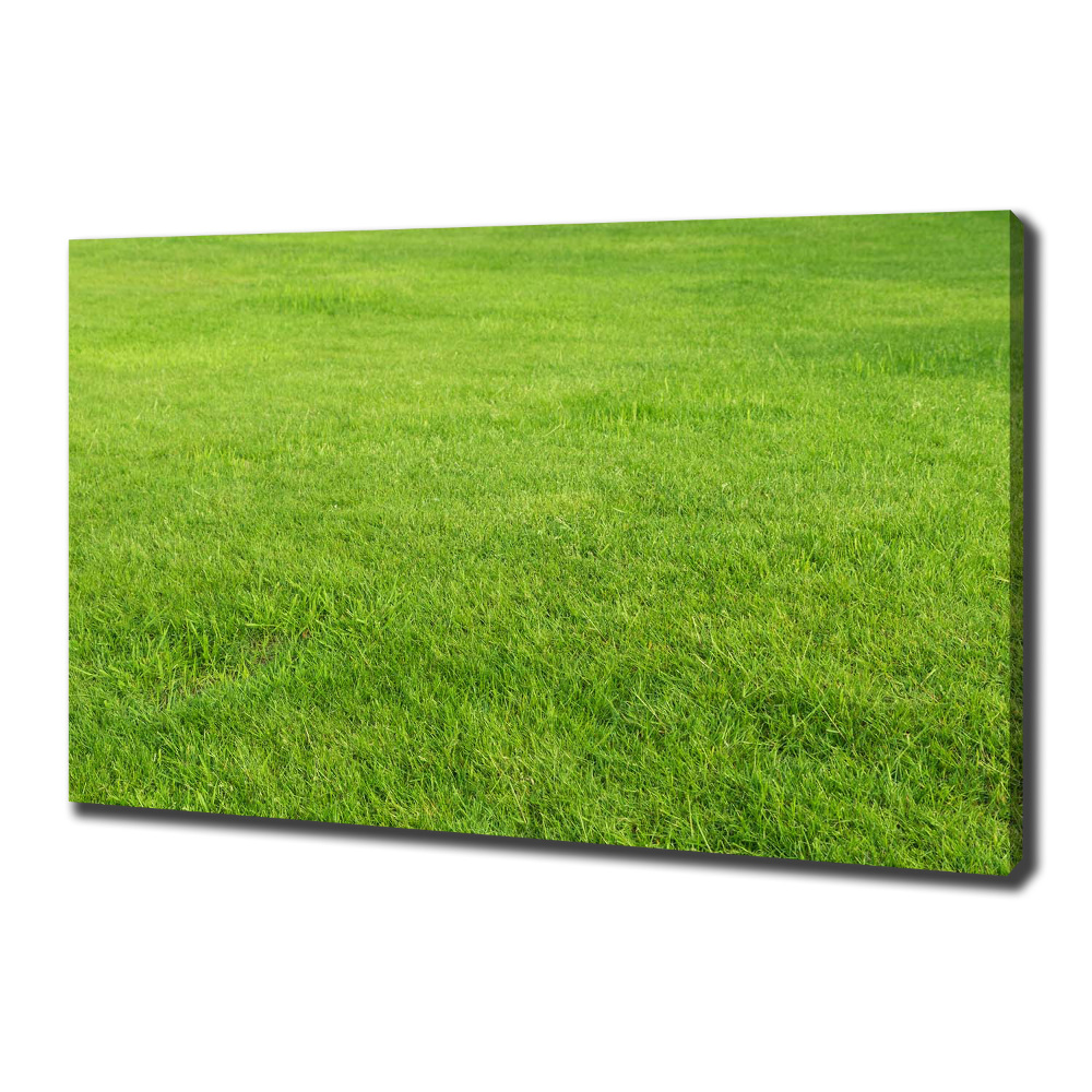 Foto obraz na płótnie Zielona trawa