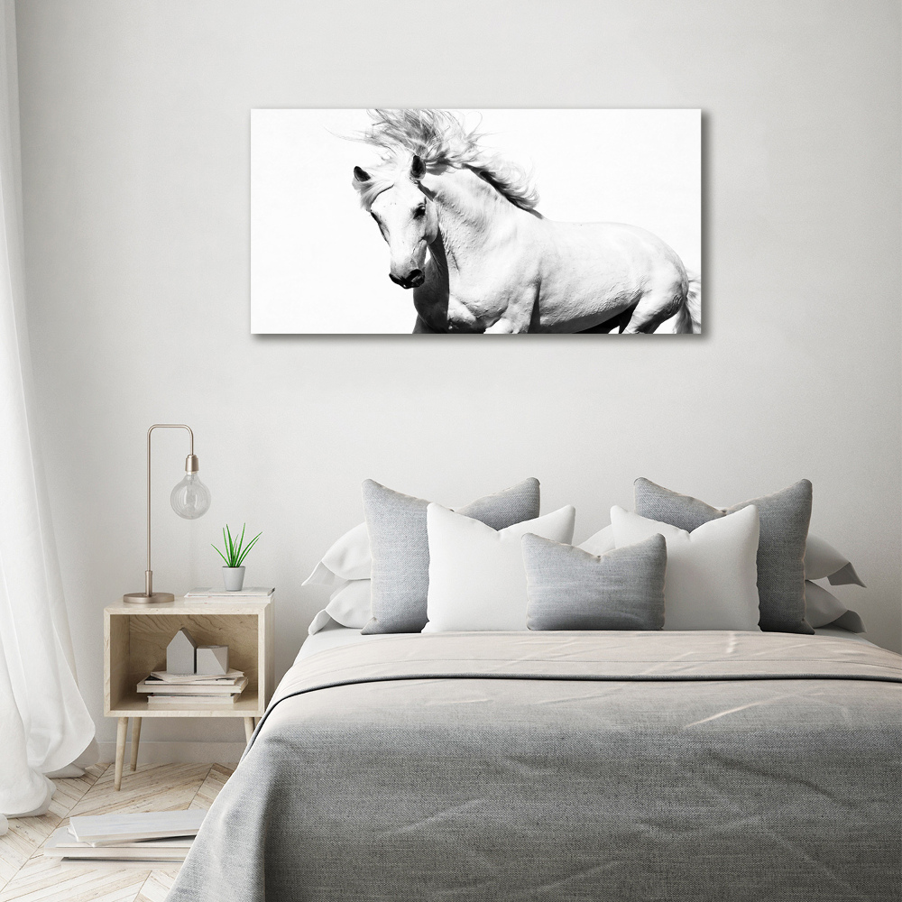 Foto obraz canvas Biały koń