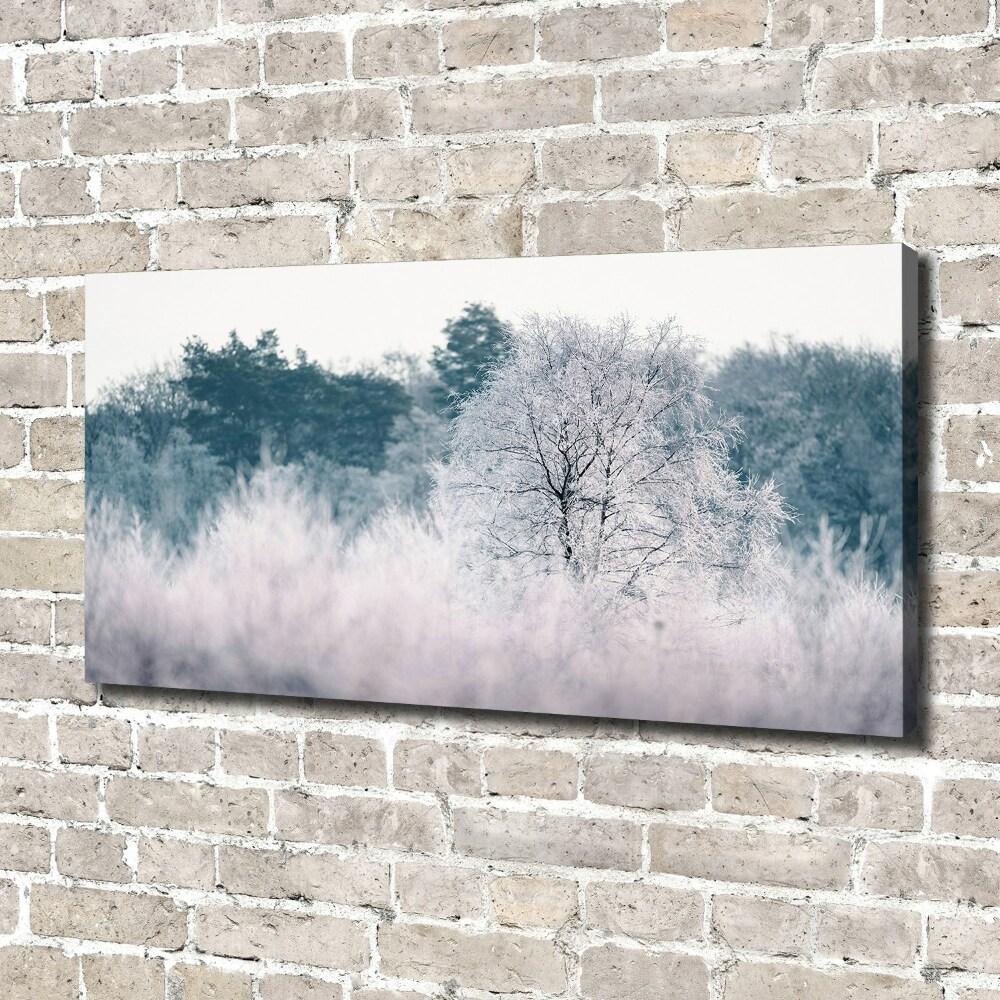Foto obraz canvas Drzewa zimą
