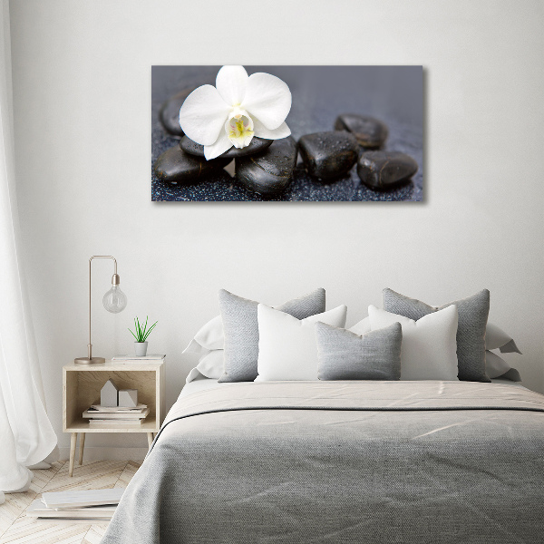 Foto obraz canvas Orchidea