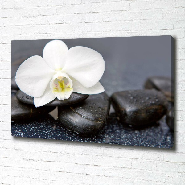 Foto obraz canvas Orchidea