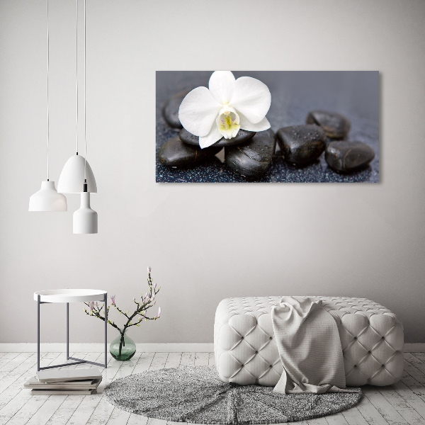 Foto obraz canvas Orchidea