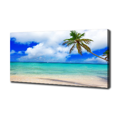 Foto obraz na płótnie Karaiby plaża