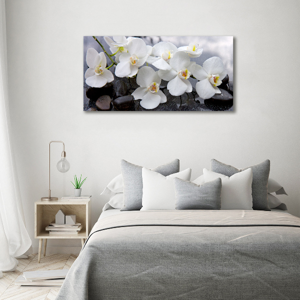 Foto obraz canvas Orchidea