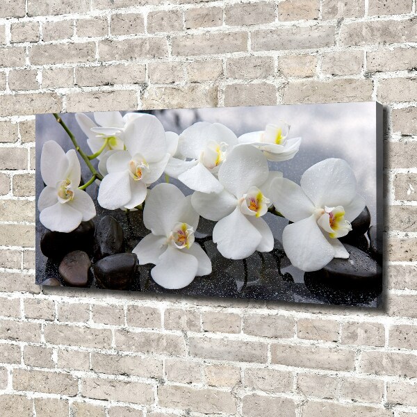 Foto obraz canvas Orchidea