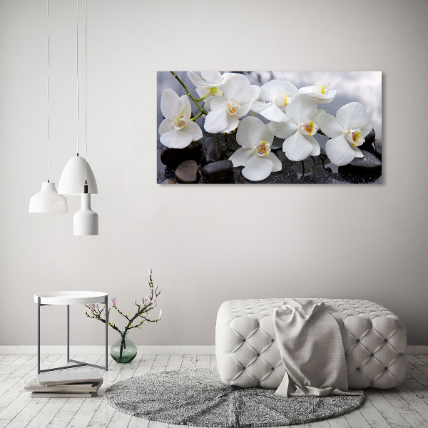 Foto obraz canvas Orchidea