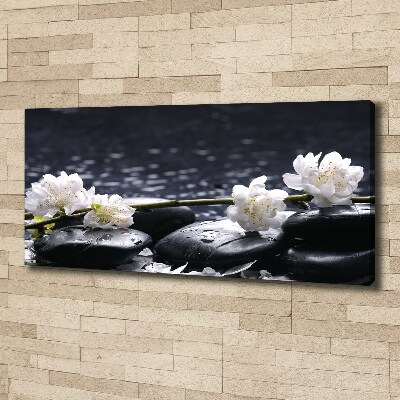 Foto obraz canvas Kwiat wiśni