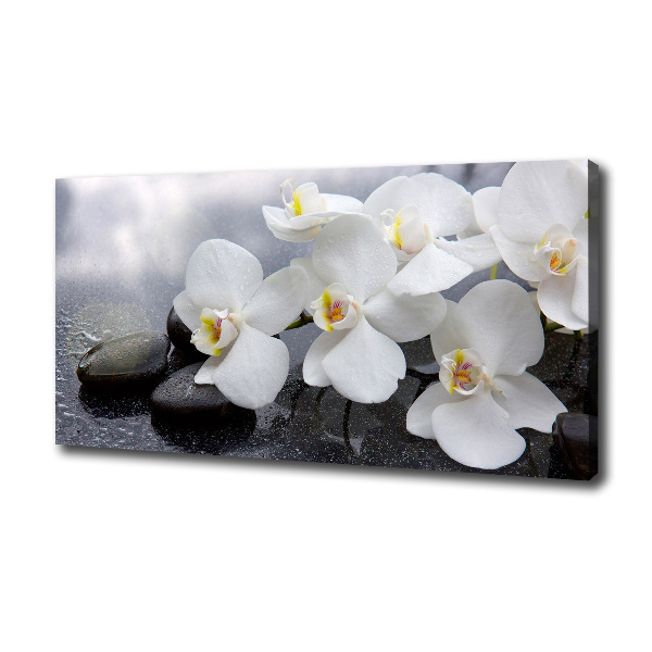 Foto obraz canvas Orchidea