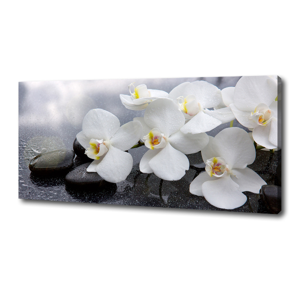 Foto obraz canvas Orchidea