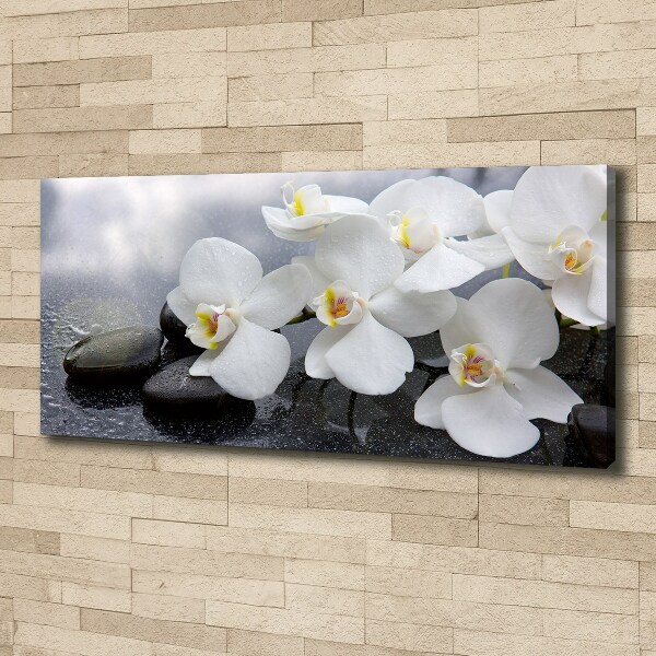 Foto obraz canvas Orchidea