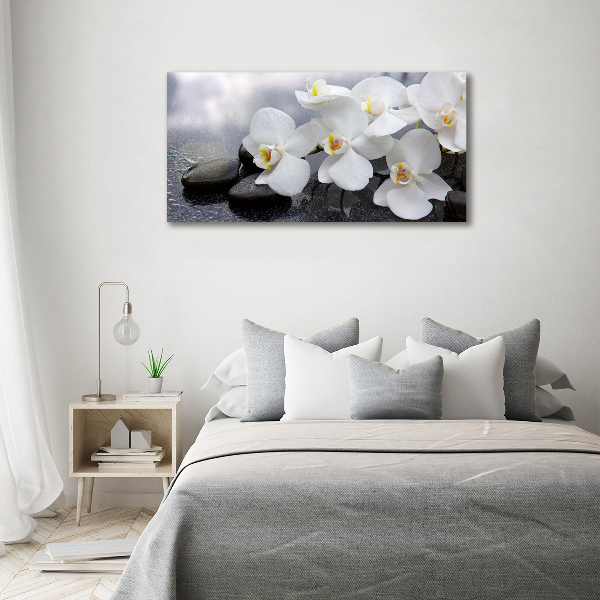 Foto obraz canvas Orchidea