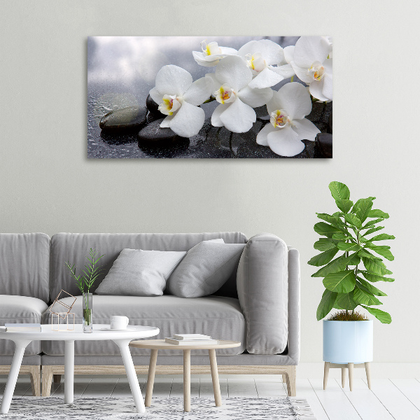 Foto obraz canvas Orchidea