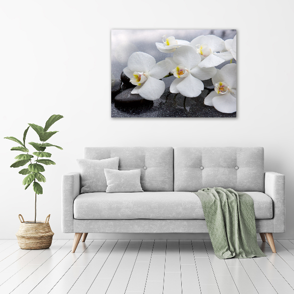 Foto obraz canvas Orchidea