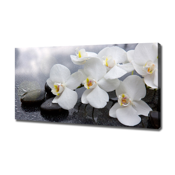 Foto obraz canvas Orchidea