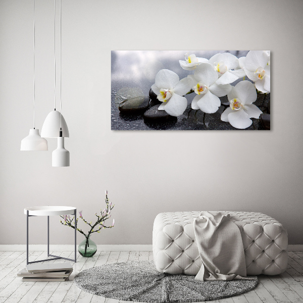 Foto obraz canvas Orchidea