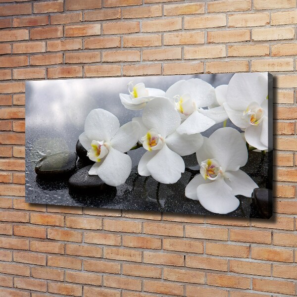 Foto obraz canvas Orchidea