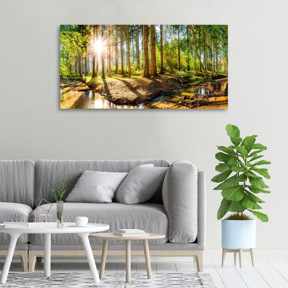 Duży Foto obraz na płótnie Panorama las