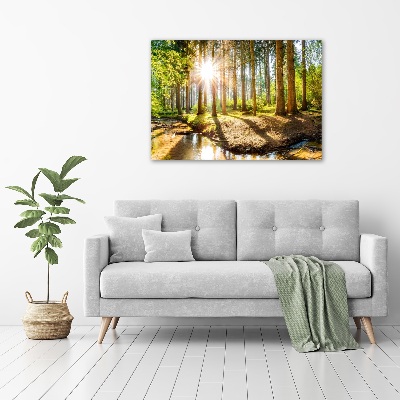 Duży Foto obraz na płótnie Panorama las
