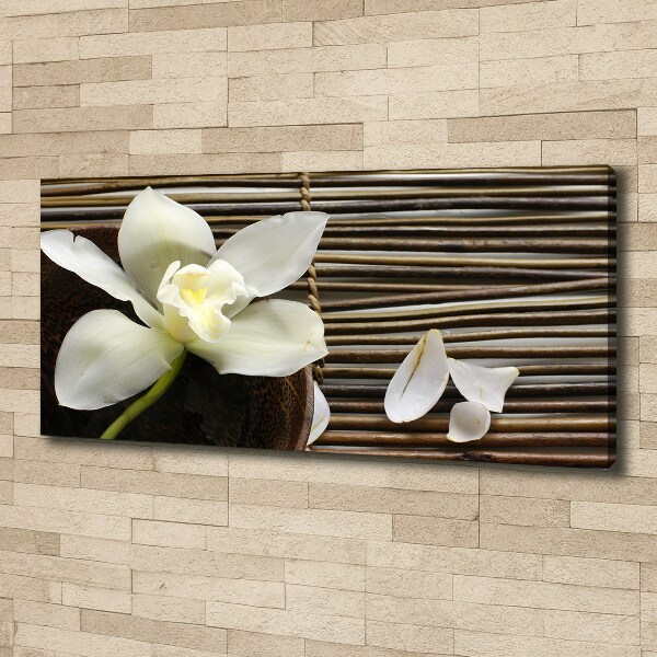 Foto obraz canvas Orchidea