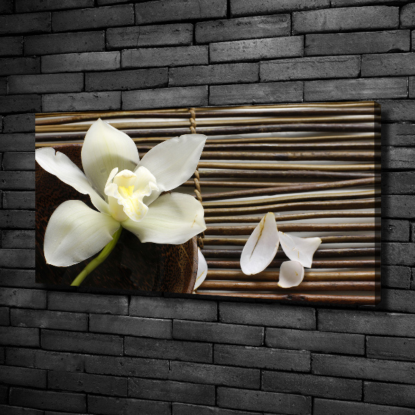 Foto obraz canvas Orchidea