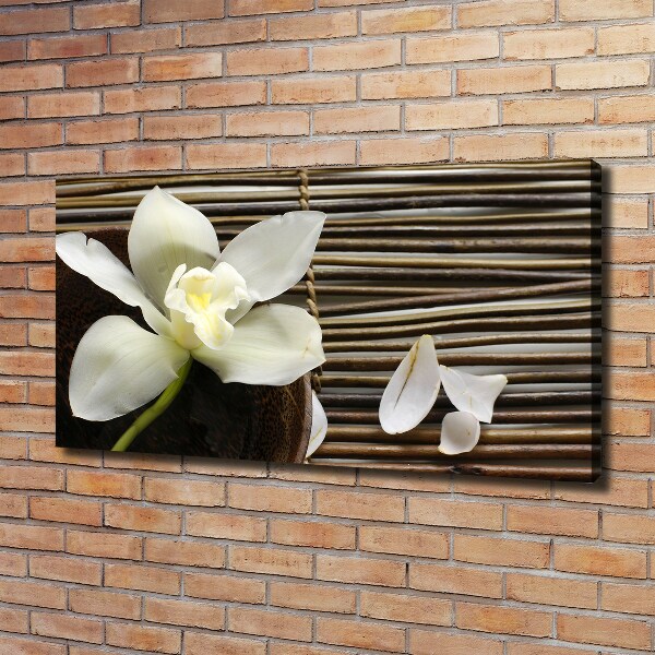 Foto obraz canvas Orchidea