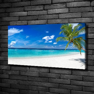 Foto obraz na płótnie Tropikalna plaża