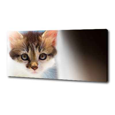 Foto obraz canvas Mały kot