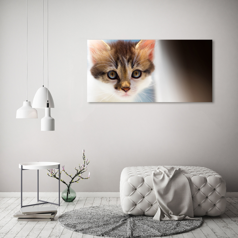 Foto obraz canvas Mały kot