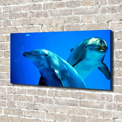 Foto obraz canvas Dwa delfiny