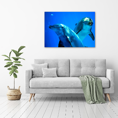 Foto obraz canvas Dwa delfiny
