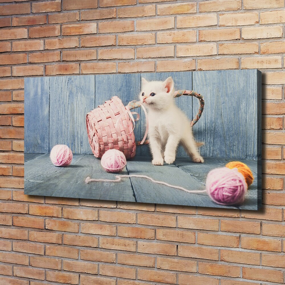 Foto obraz na płótnie Biały kot i motki