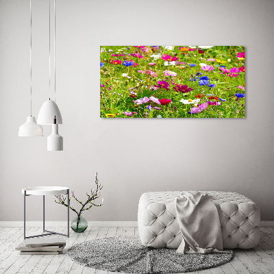 Duży Foto obraz na płótnie Polne kwiaty