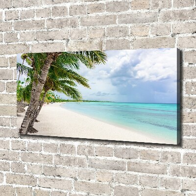 Foto obraz na płótnie Tropikalna plaża