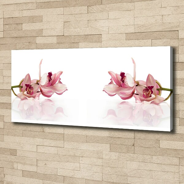 Foto obraz canvas Orchidea