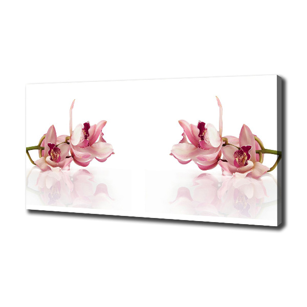 Foto obraz canvas Orchidea