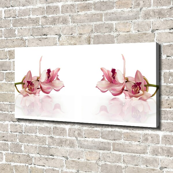 Foto obraz canvas Orchidea