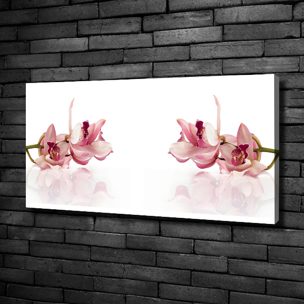 Foto obraz canvas Orchidea