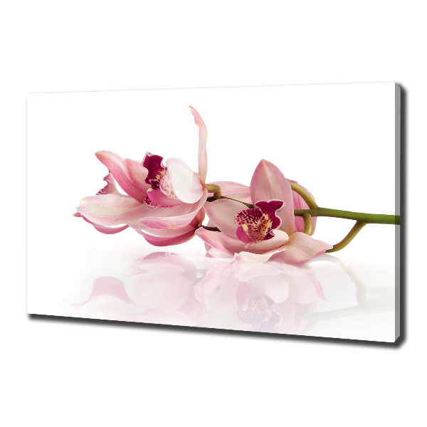 Foto obraz canvas Orchidea