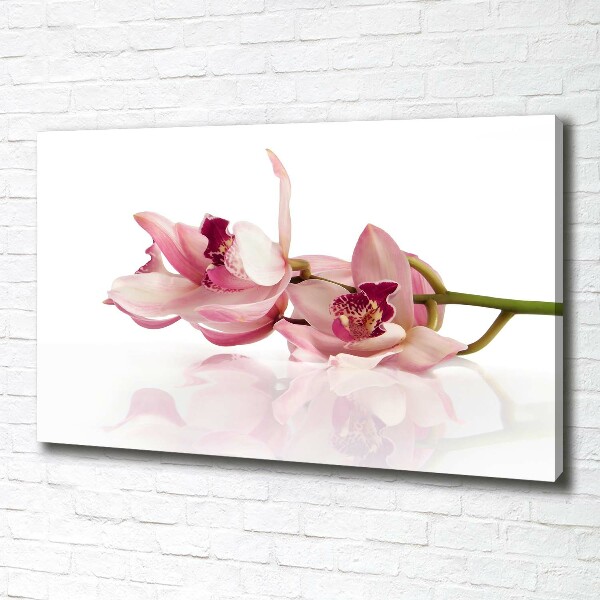 Foto obraz canvas Orchidea