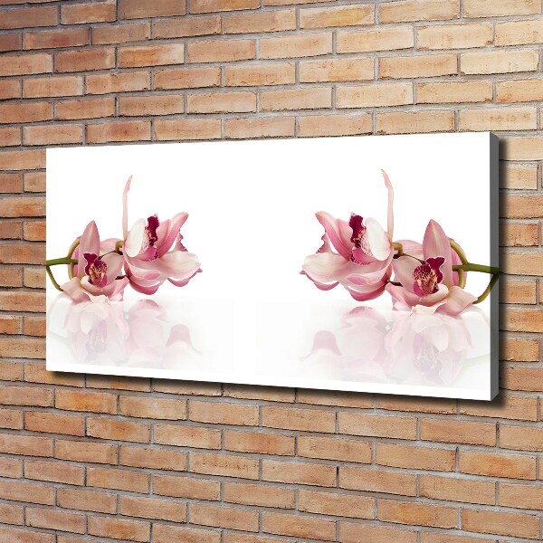 Foto obraz canvas Orchidea