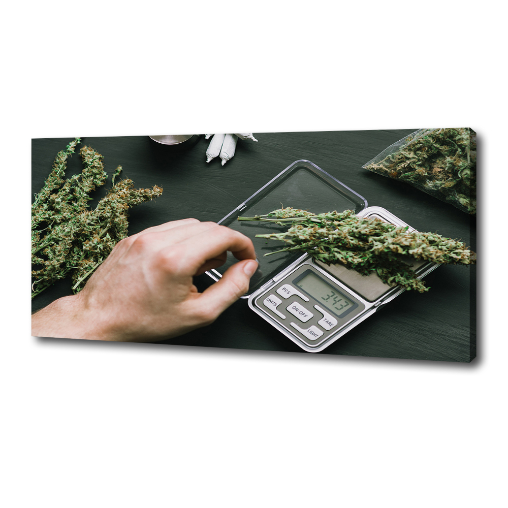 Foto obraz na płótnie Topy marihuany