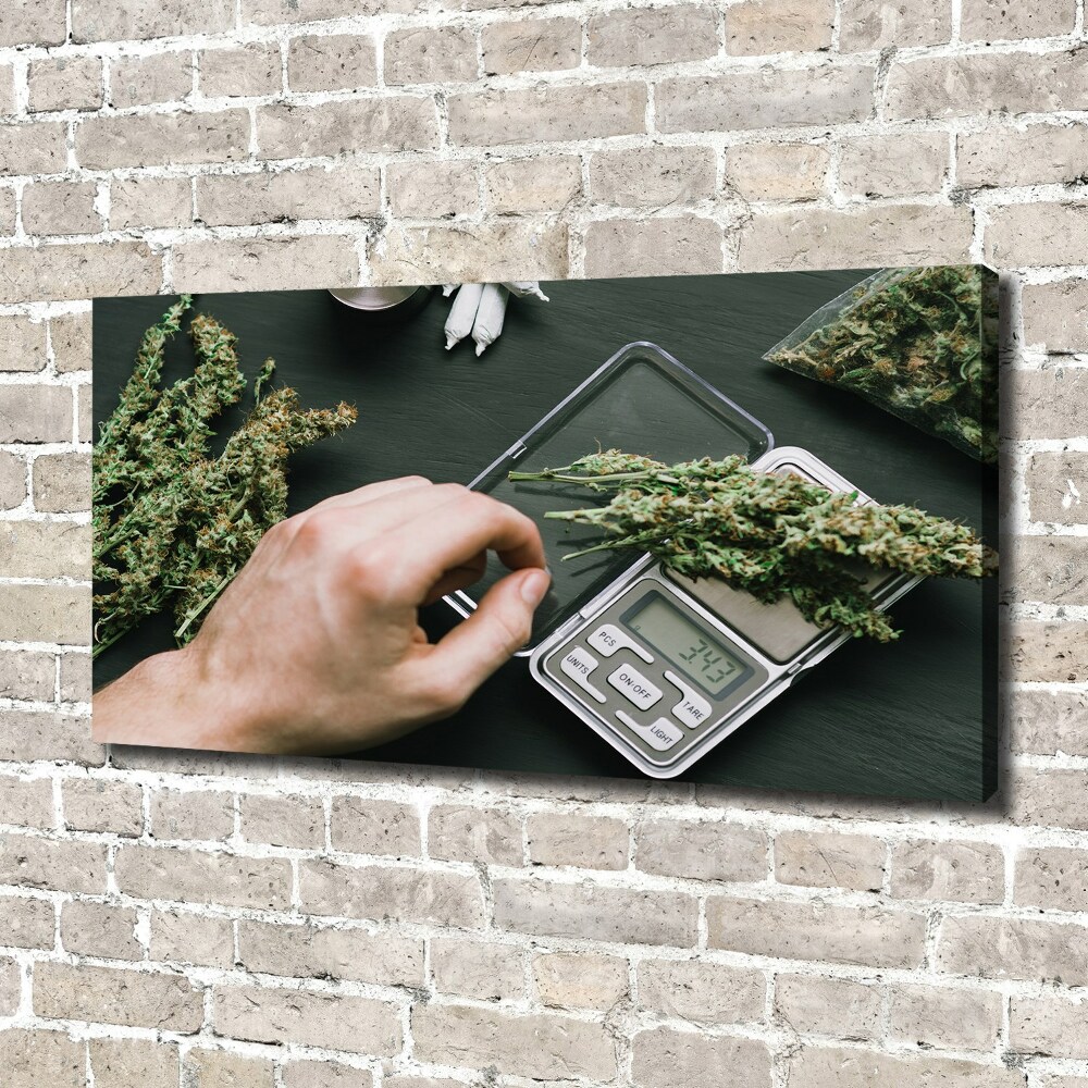 Foto obraz na płótnie Topy marihuany