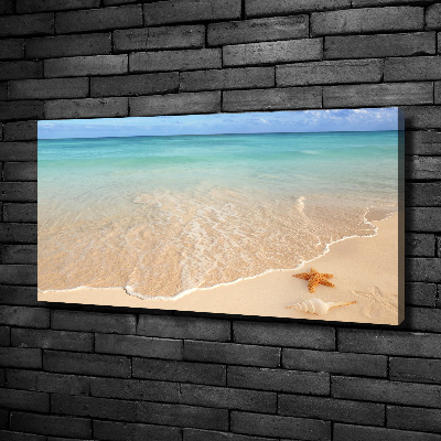 Foto obraz na płótnie Rozgwiazda na plaży
