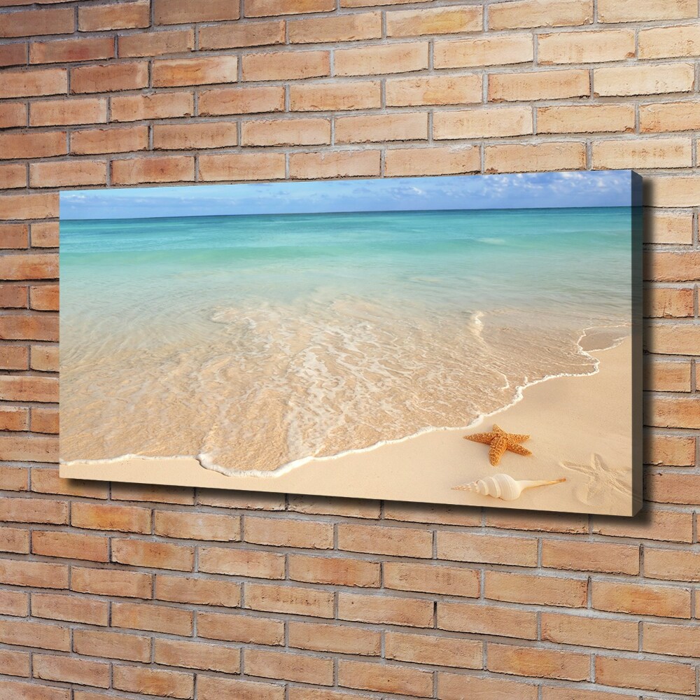 Foto obraz na płótnie Rozgwiazda na plaży