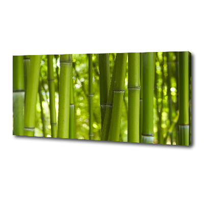 Duży foto obraz na ścianę canvas Bambus