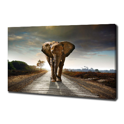 Foto obraz na płótnie Spacerujący słoń