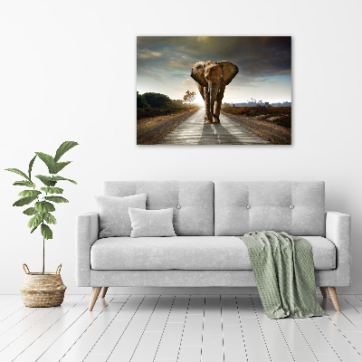 Foto obraz na płótnie Spacerujący słoń