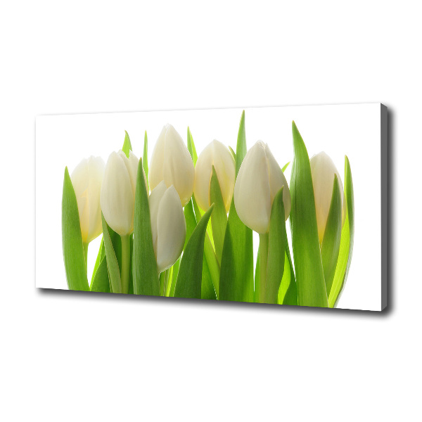 Foto obraz canvas Tulipany